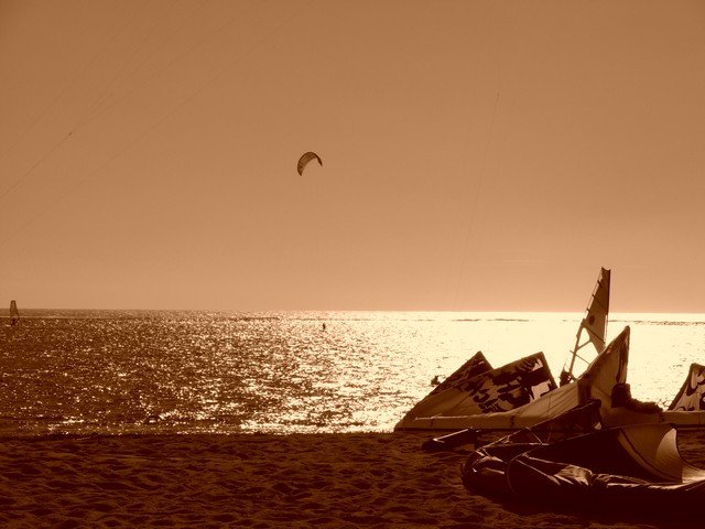 Mauritius 2007 - 504